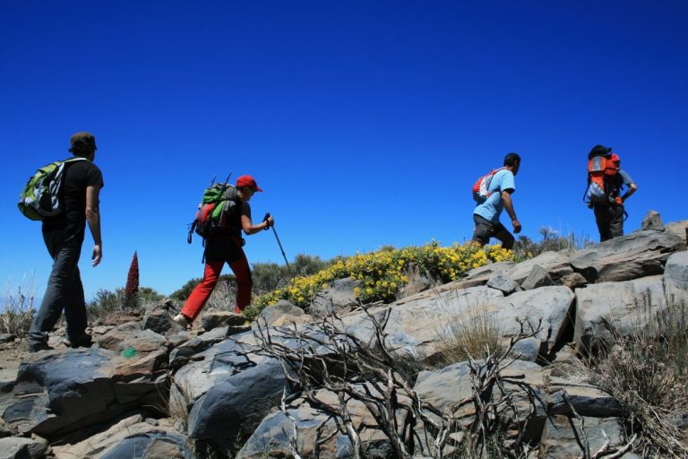 How to Incorporate Your Family on Your Hiking Adventures
