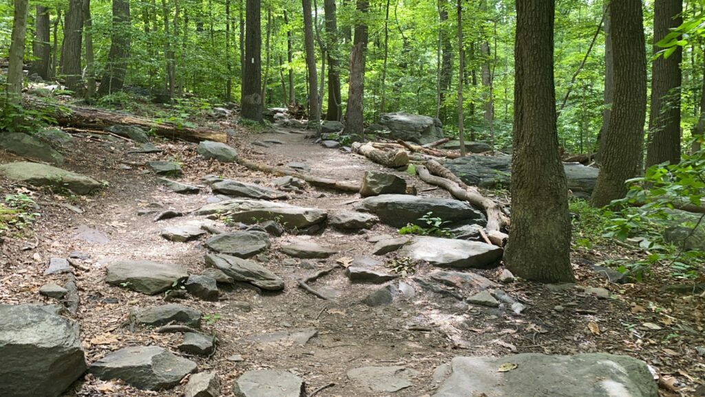 The first climb coming out of Harpers Ferry on the Appalachian Trail is full of rocks.