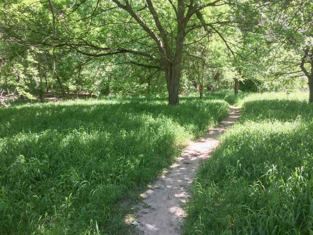 Miller Springs Nature Center in Belton, Texas