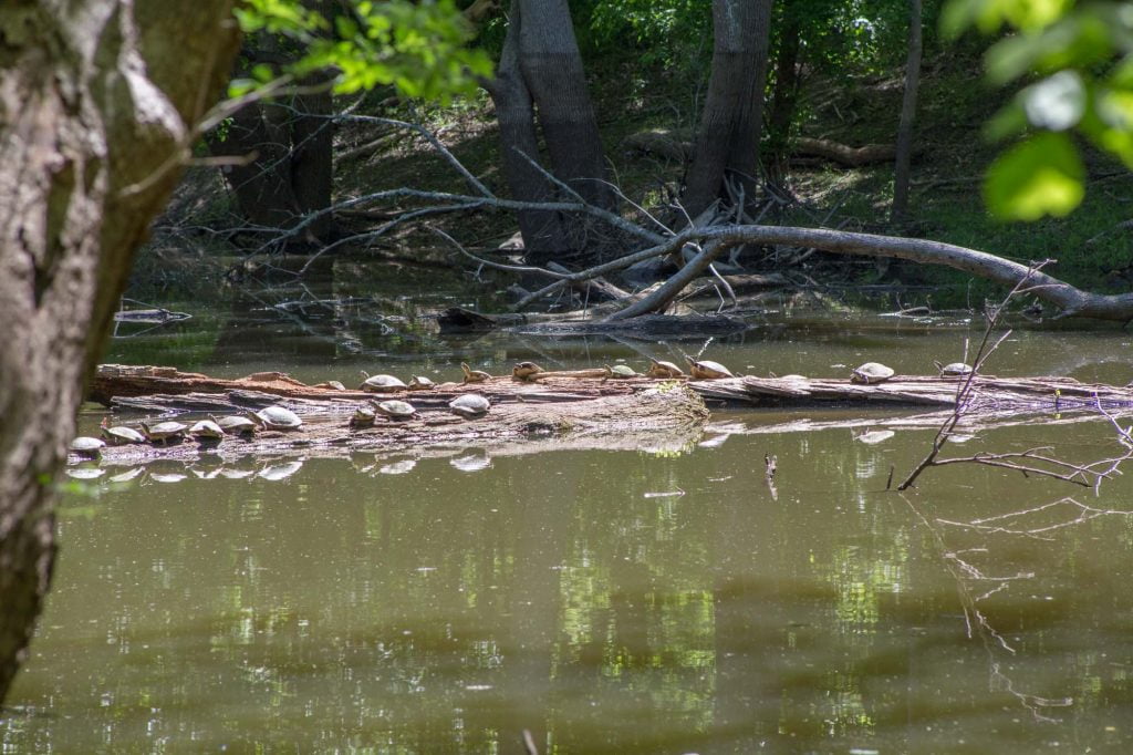 Miller Springs Nature Center in Belton, Texas