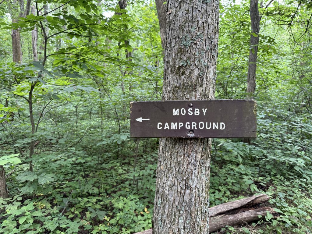 picture of mosby camground sign attached to a tree