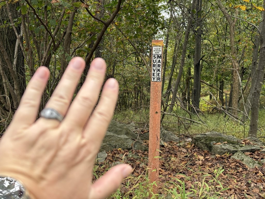 mt dunlop survey marker nuttyhiker