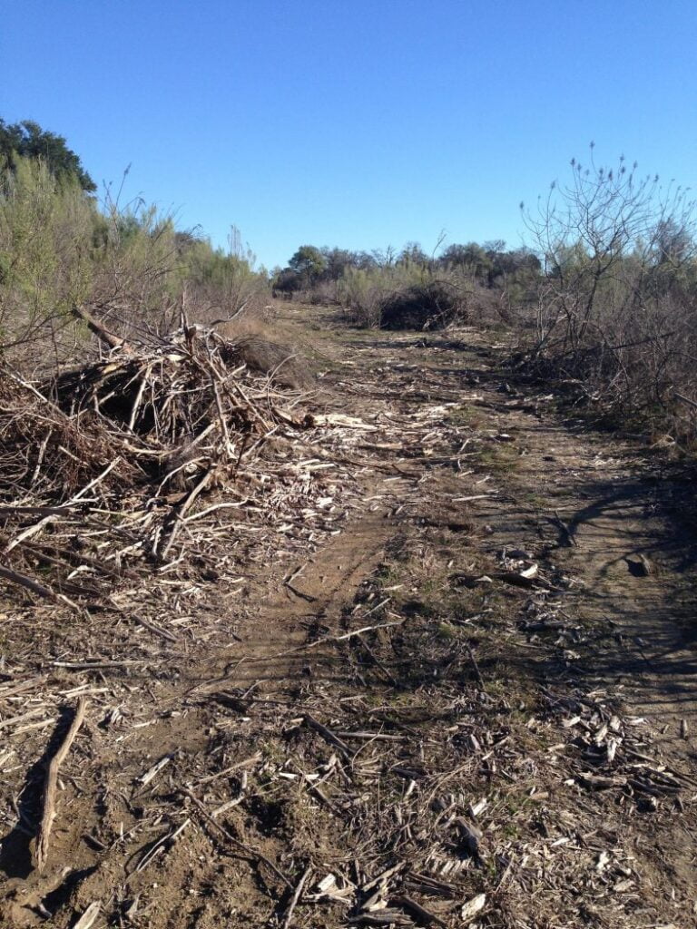 Sidewinder trail at Dana Peak Park after the fire