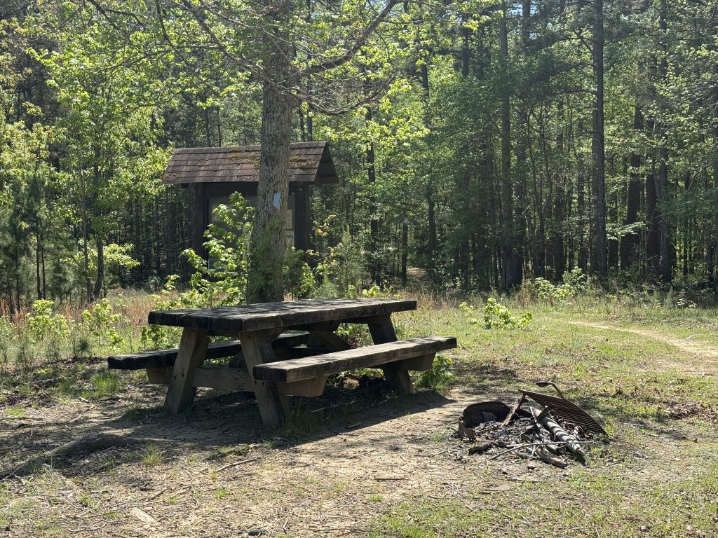 broken fire ring in front of a wooden picnic table surrounded by trees
