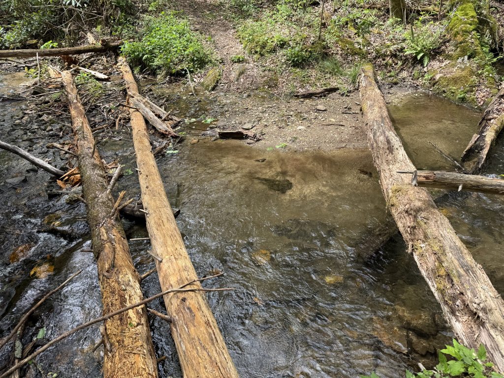three logs laying over a creek with water