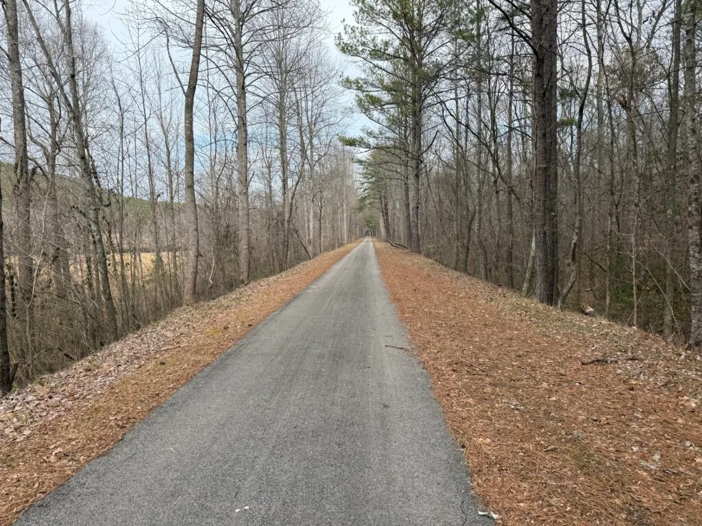 pinhoti day 29 chief ladiga trail nuttyhiker