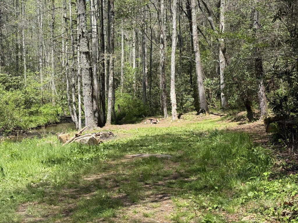 campsite with logs and fire ring next to a creek