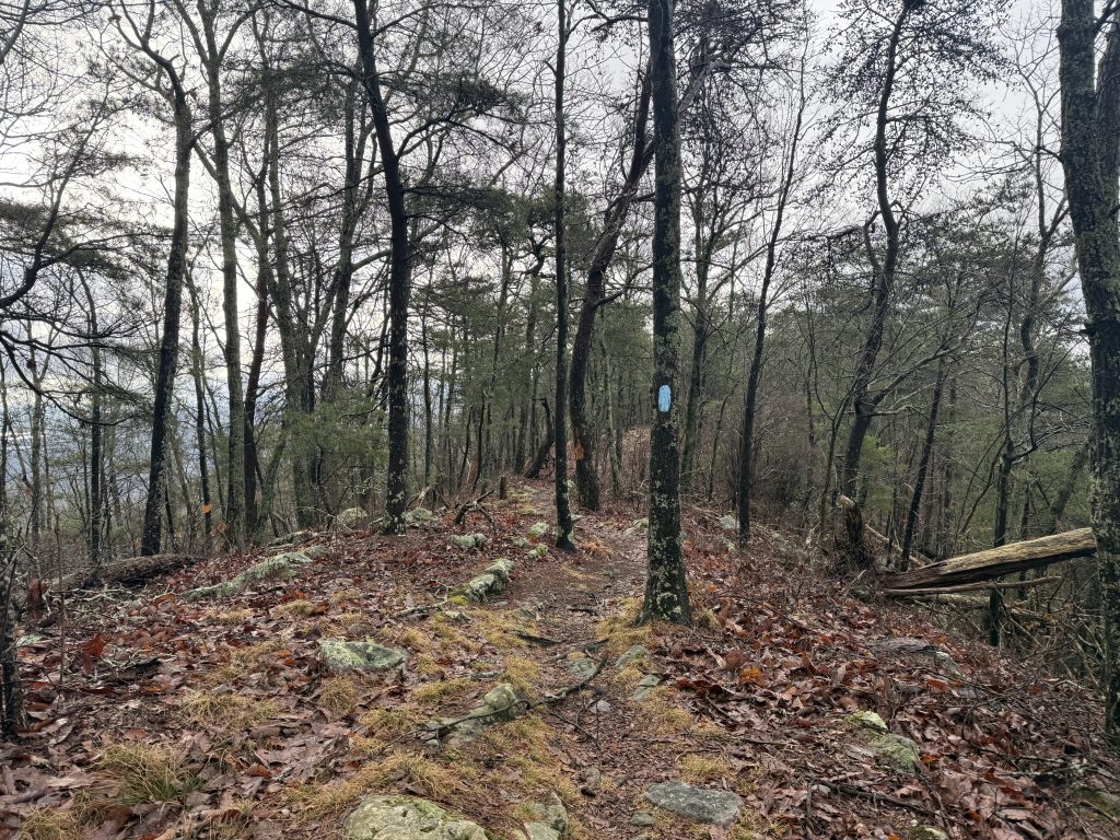 pinhoti trail day 37 ridge