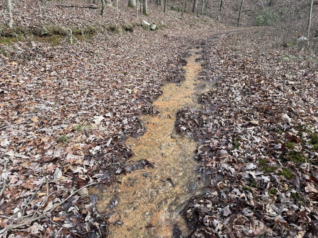 pinhoti trail day 37 trail turned into a river