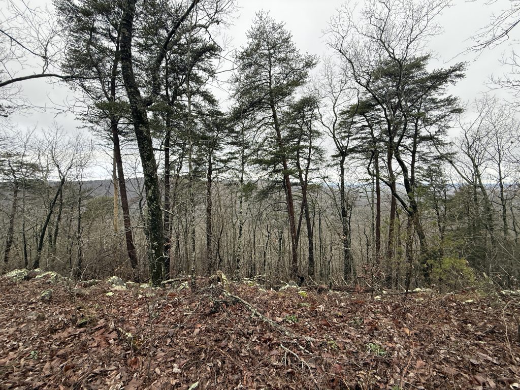 pinhoti trail day 37 view of where we came from