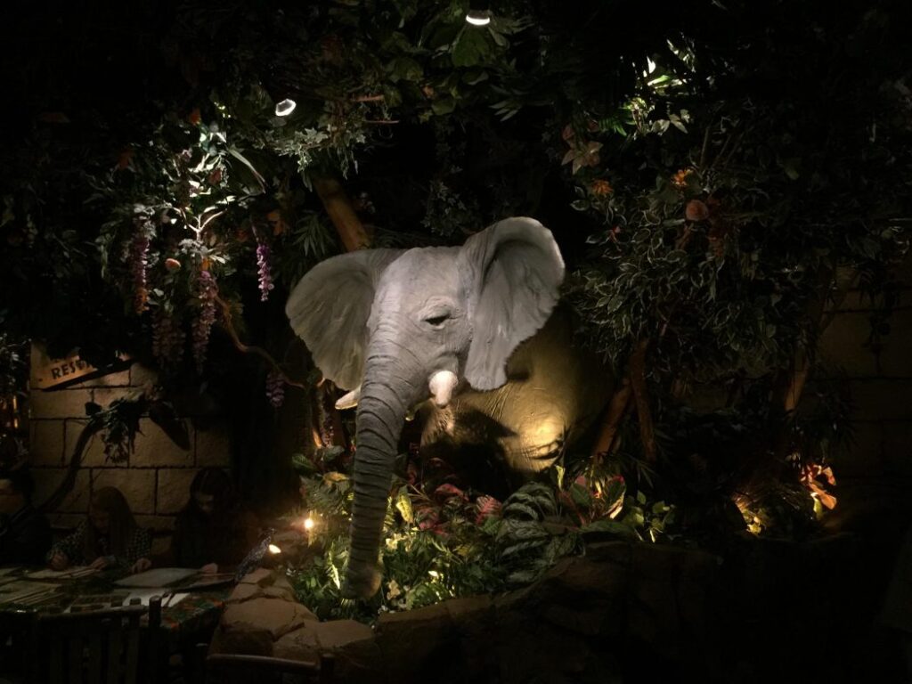 Rainforest Cafe in San Antonio Texas