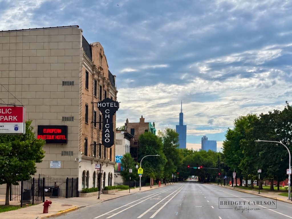Hotel Chicago on West Jackson Boulevard in Chicago, viewed along an empty tree-lined street with its historic façade and vertical Hotel Chicago sign visible on the left, while the Willis Tower and downtown Chicago skyline rise in the distance beneath a cloudy sky.
