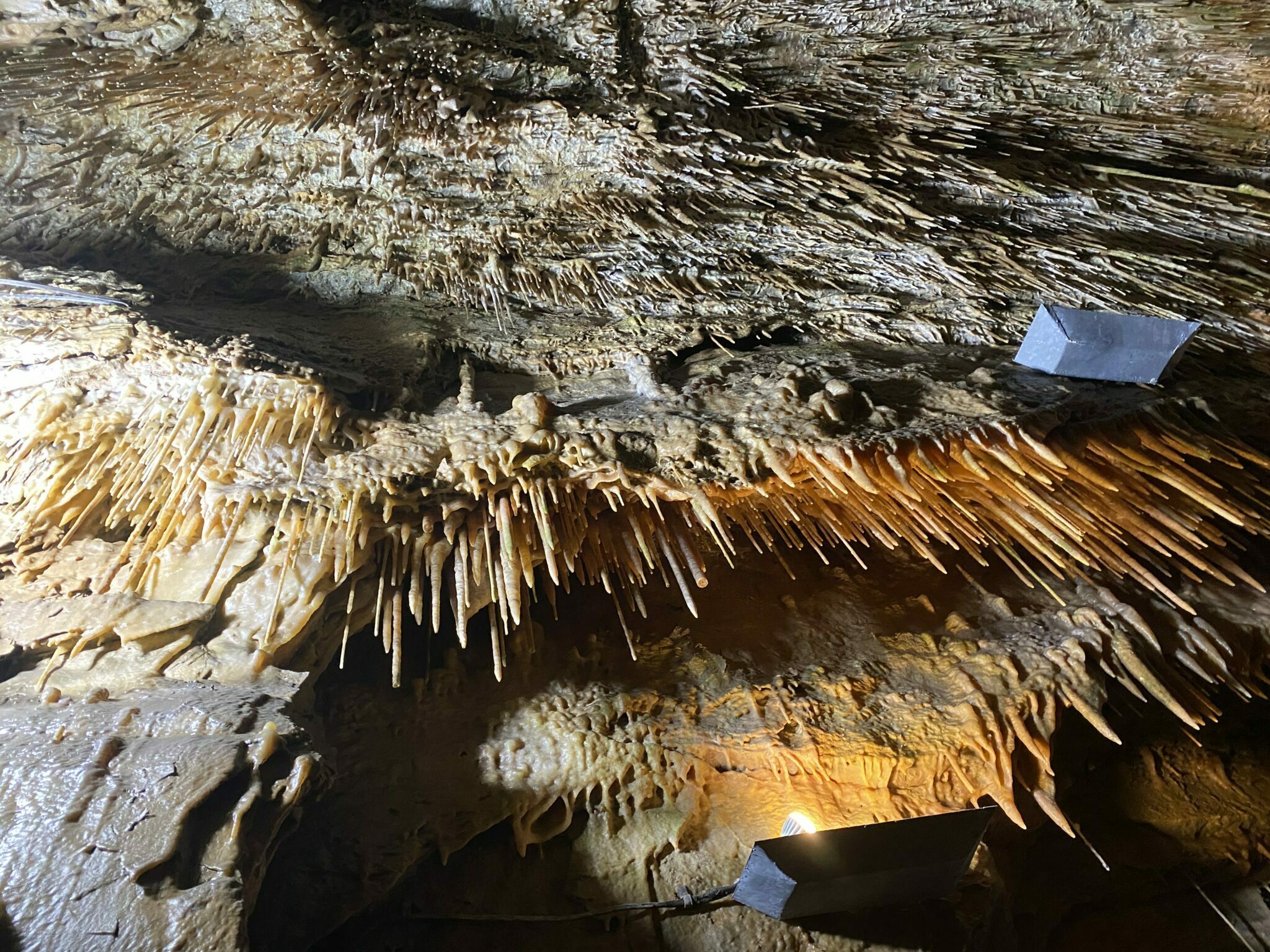 Smoke Hole Caverns - An Oasis in West Virginia