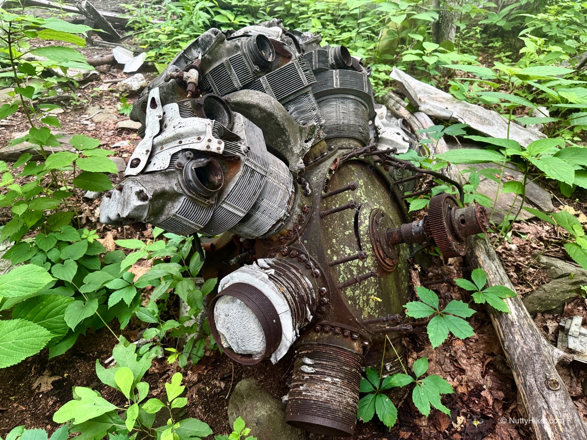 Appalachian Trail #40: Stumbled Upon a Military Plane Wreck, Humpback Rocks, & Walking a 1800s Road