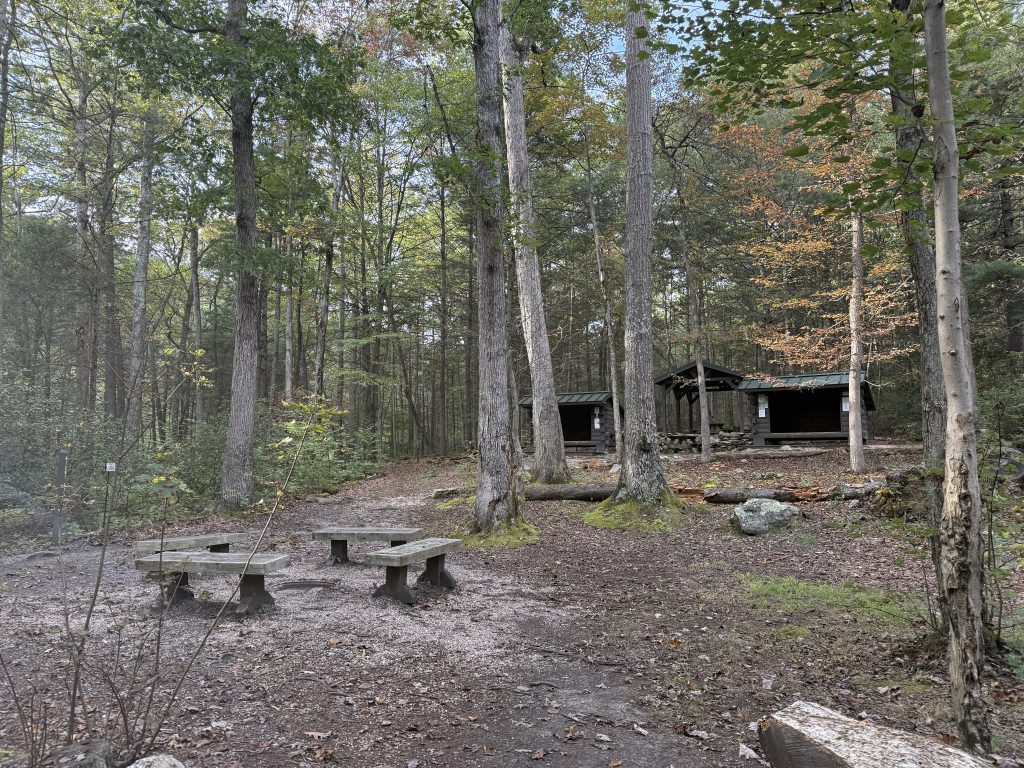 view of the tumbling run shelters