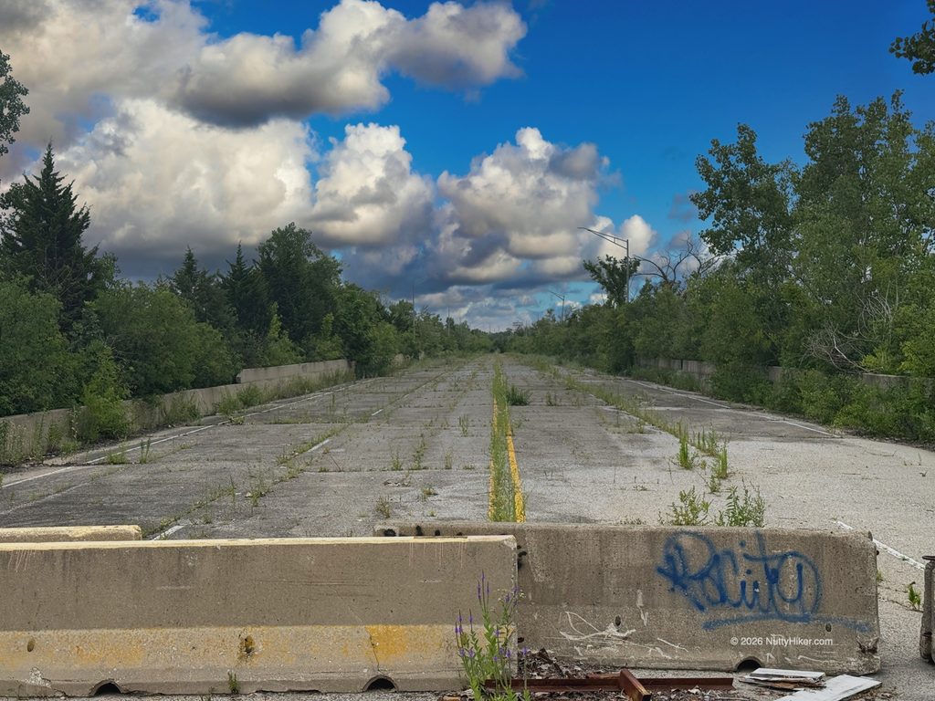 An abandoned, overgrown highway stretches into the distance, blocked in the foreground by a concrete barrier with blue graffiti. Weeds and small plants grow through cracks in the pavement, and dense trees line both sides of the road. Large, fluffy clouds fill a bright blue sky above the scene, creating a dramatic contrast with the deserted roadway.