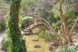 Zilker Botanical Garden in Austin Texas